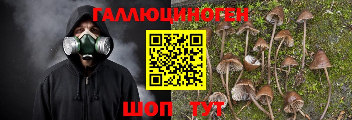 Галлюциногенные грибы мицелий Димитровград